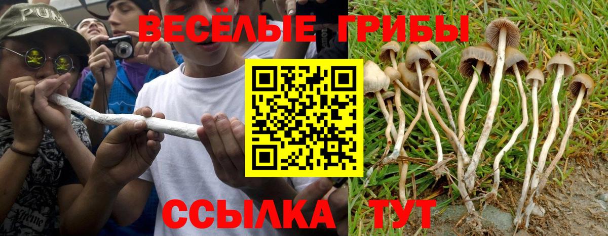 Галлюциногенные грибы Psilocybine cubensis  Вход с VPN  Псилоцибиновые грибы Psilocybe  Клин 