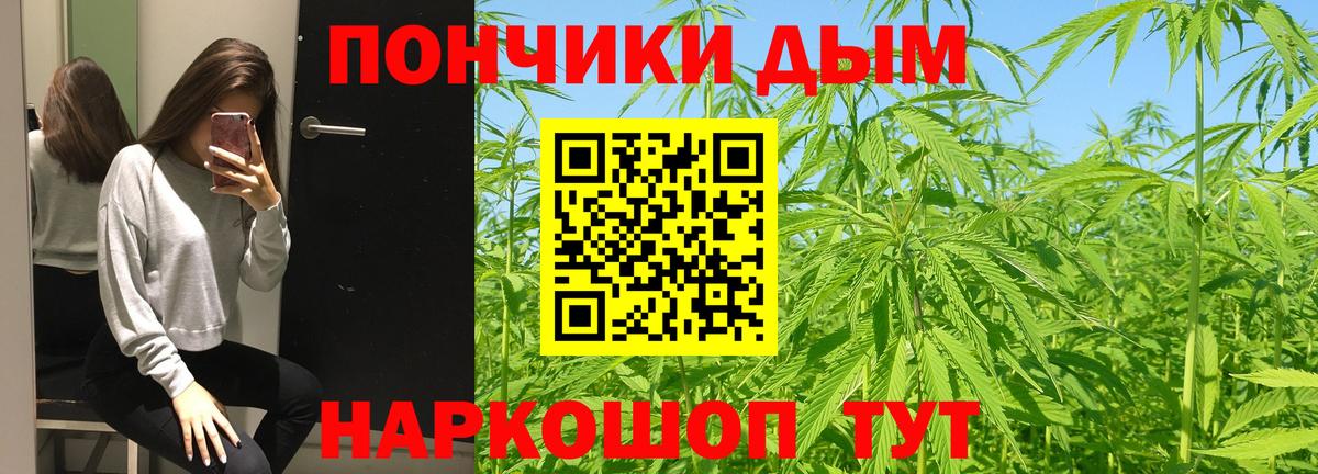 Шишки марихуана семена Клин